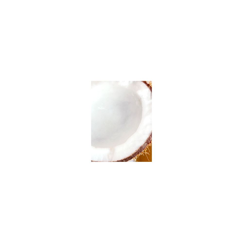 Gros plan de la chair et de la coque de noix de coco.