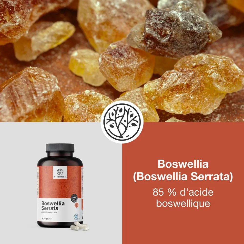 Gros plan de morceaux de résine de Boswellia à côté d'une bouteille de capsules HealthyWorld Boswellia Serrata.