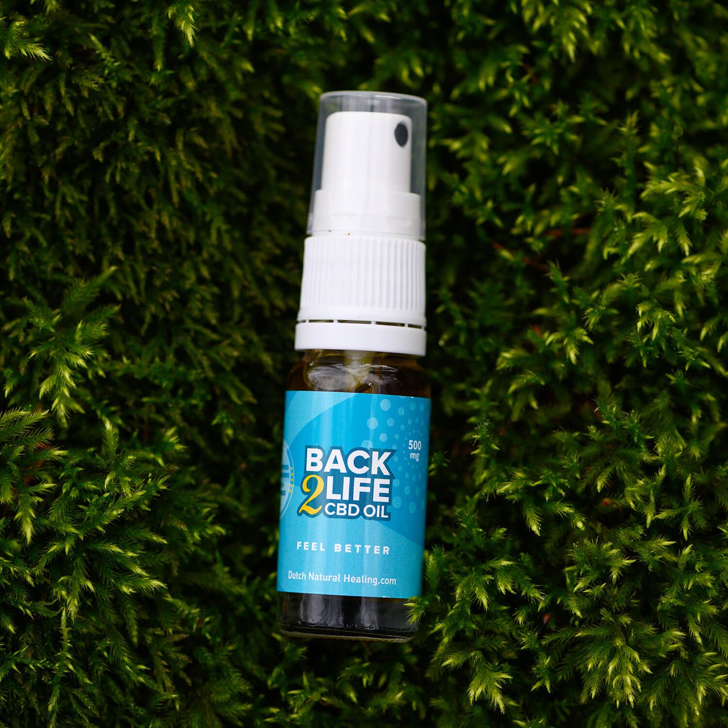 Transparante fles met witte spraykop op mos. Blauw etiket met "BACK 2 LIFE CBD OIL" en "FEEL BETTER".