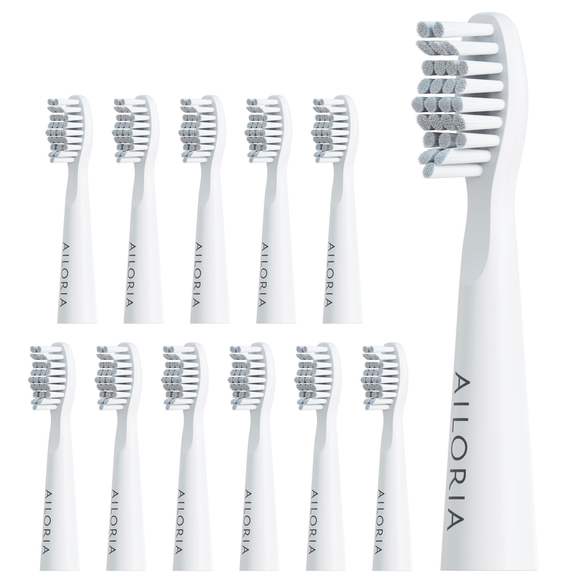 Têtes de brosse à dents blanches, soies grises. Logo AILORIA. 12 pièces. Vue rapprochée.