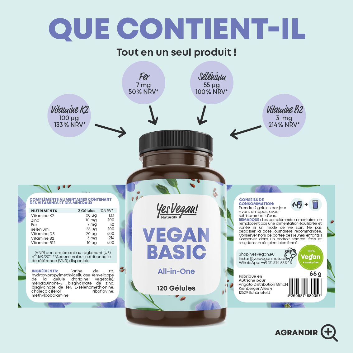Bouteille Yes Vegan! Naturals Vegan Basic All-in-One Multivitamines, 120 gélules, avec étiquette '100% Vegan'.
