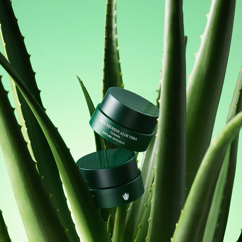 Twee groene crème potten tussen aloë vera planten. Opschrift "REAL SQUEEZE ALOE VERA Cream" en "NATURE REPUBLIC".