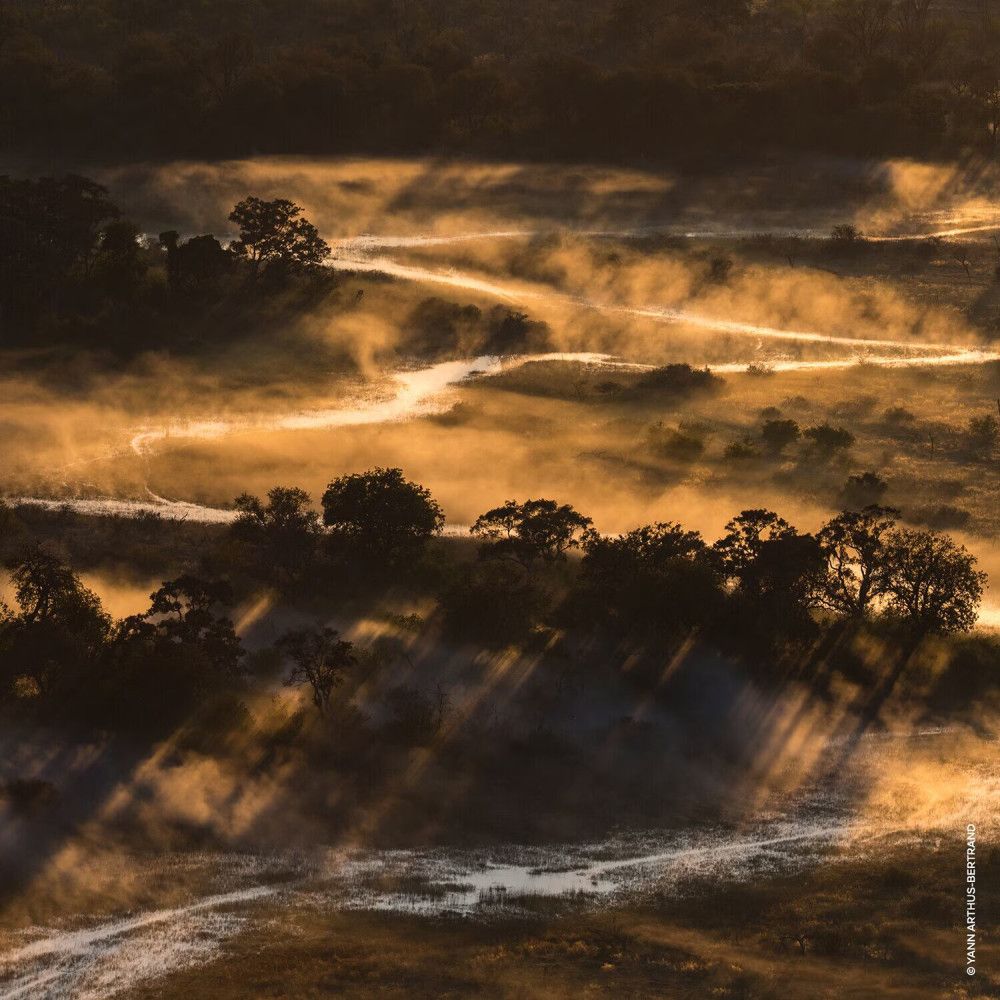 Landschap met bomen en mist. Zonnestralen doorbreken de mist. Het pad slingert door het landschap.