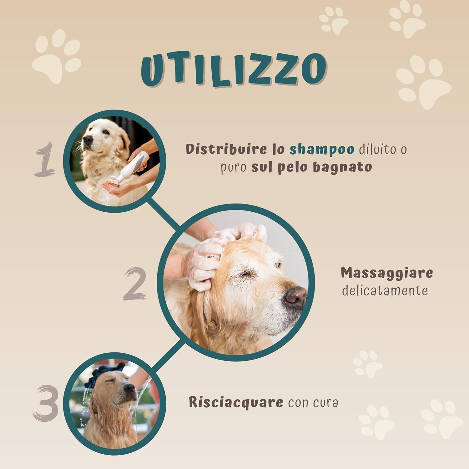 Illustration de l'utilisation du shampooing. Étapes: 1. Appliquer le shampooing, 2. Masser, 3. Rincer. Texte: Distribuire lo shampoo diluito o puro sul pelo bagnato.