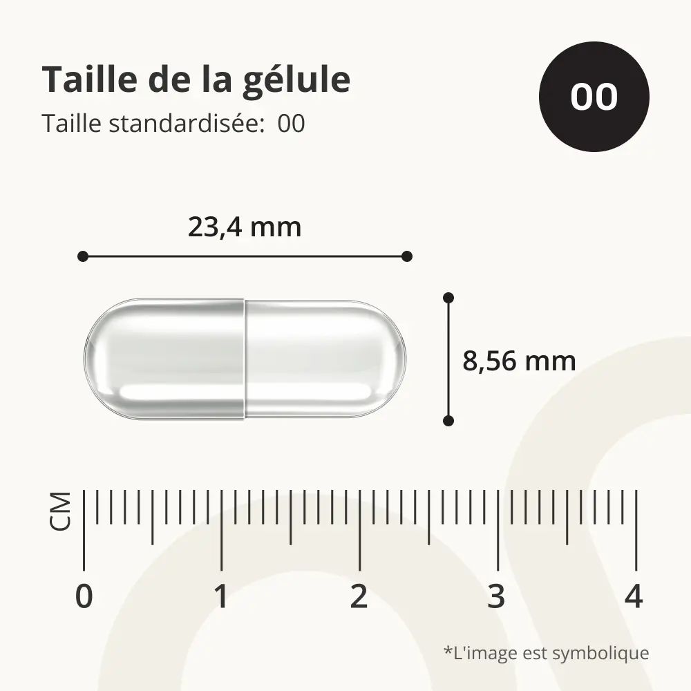 Capsule transparente avec dimensions: 23,4 mm de long, 8,56 mm de diamètre. Taille 00.