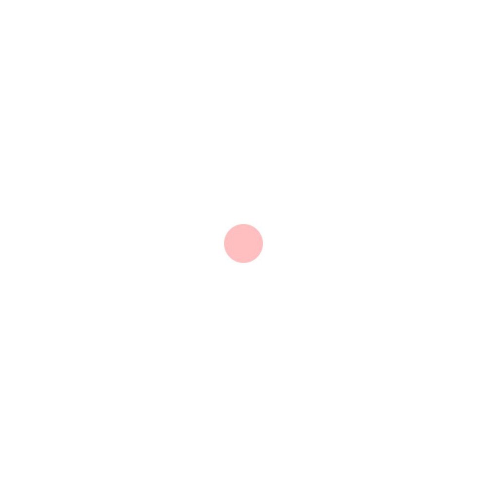Cercle rose simple sur fond blanc.