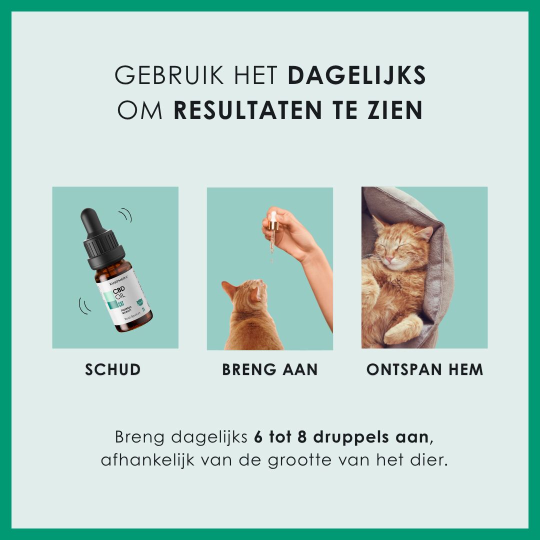 Toepassing van CBD-olie. Tekst: Dagelijks gebruiken om resultaten te zien. Schudden, aanbrengen, ontspannen.