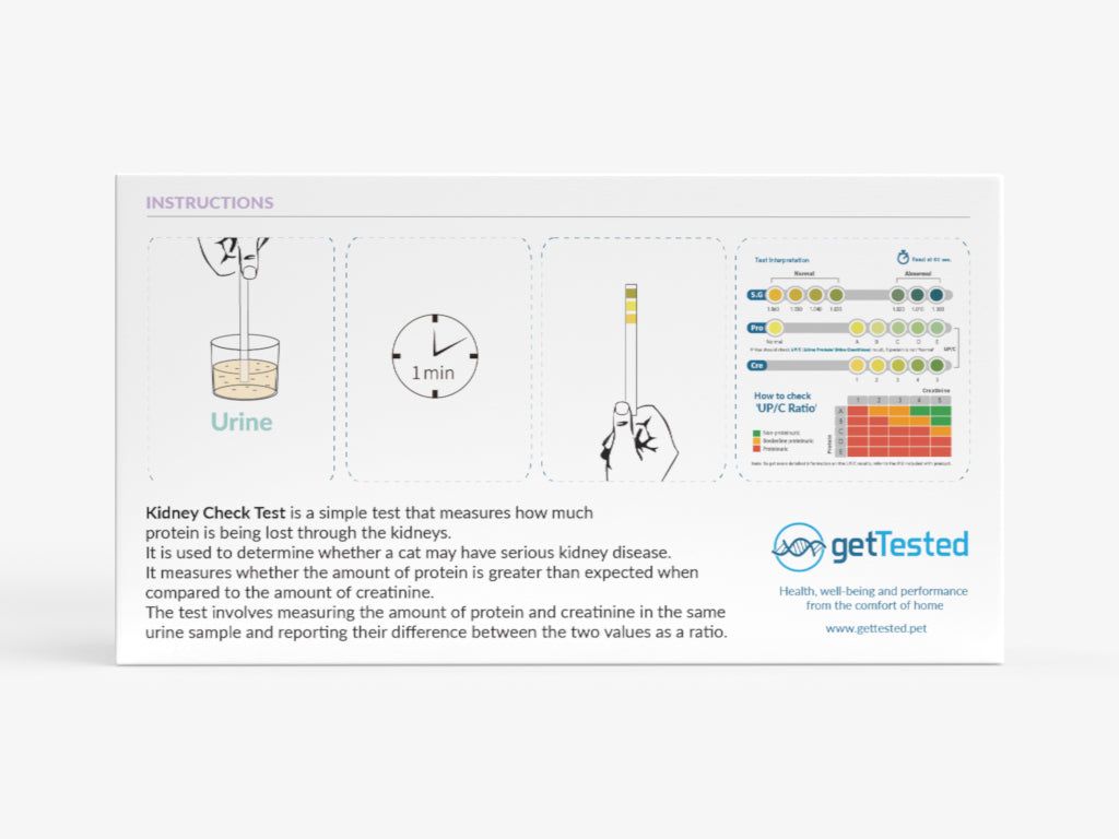 Test GetTested pour chats. Boîte avec instructions et graphiques. Illustrations de bandelettes et de gobelets à urine.