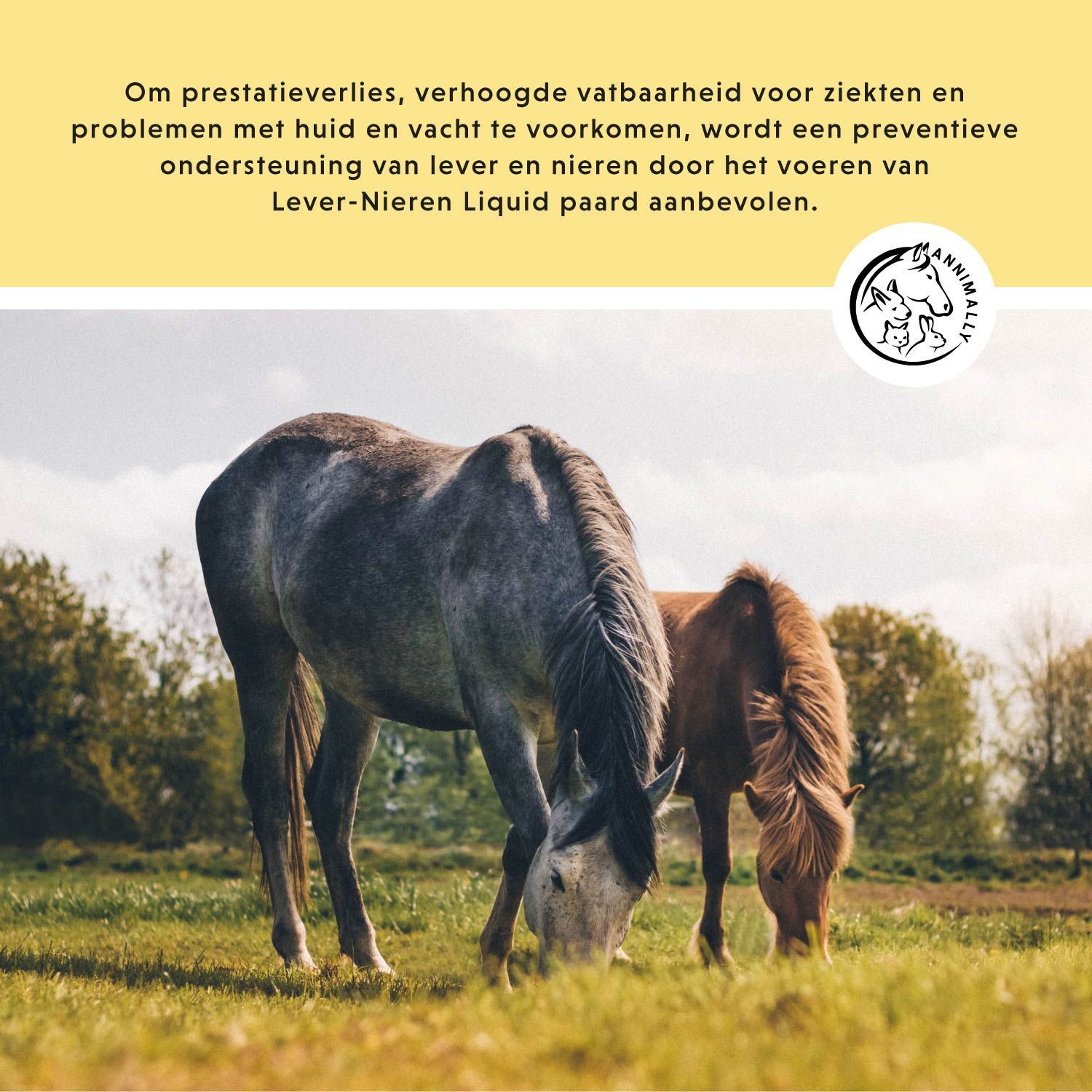 Close-ups van paarden. Tekst over stofwisseling en ontgifting, zonder toegevoegde suikers.