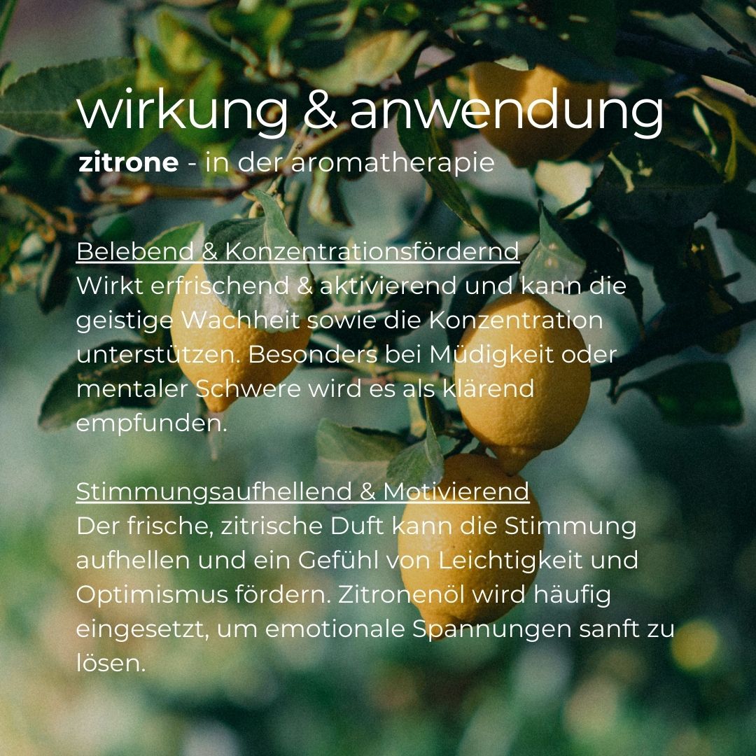 Texte sur le citron en aromathérapie. Citrons sur une branche.