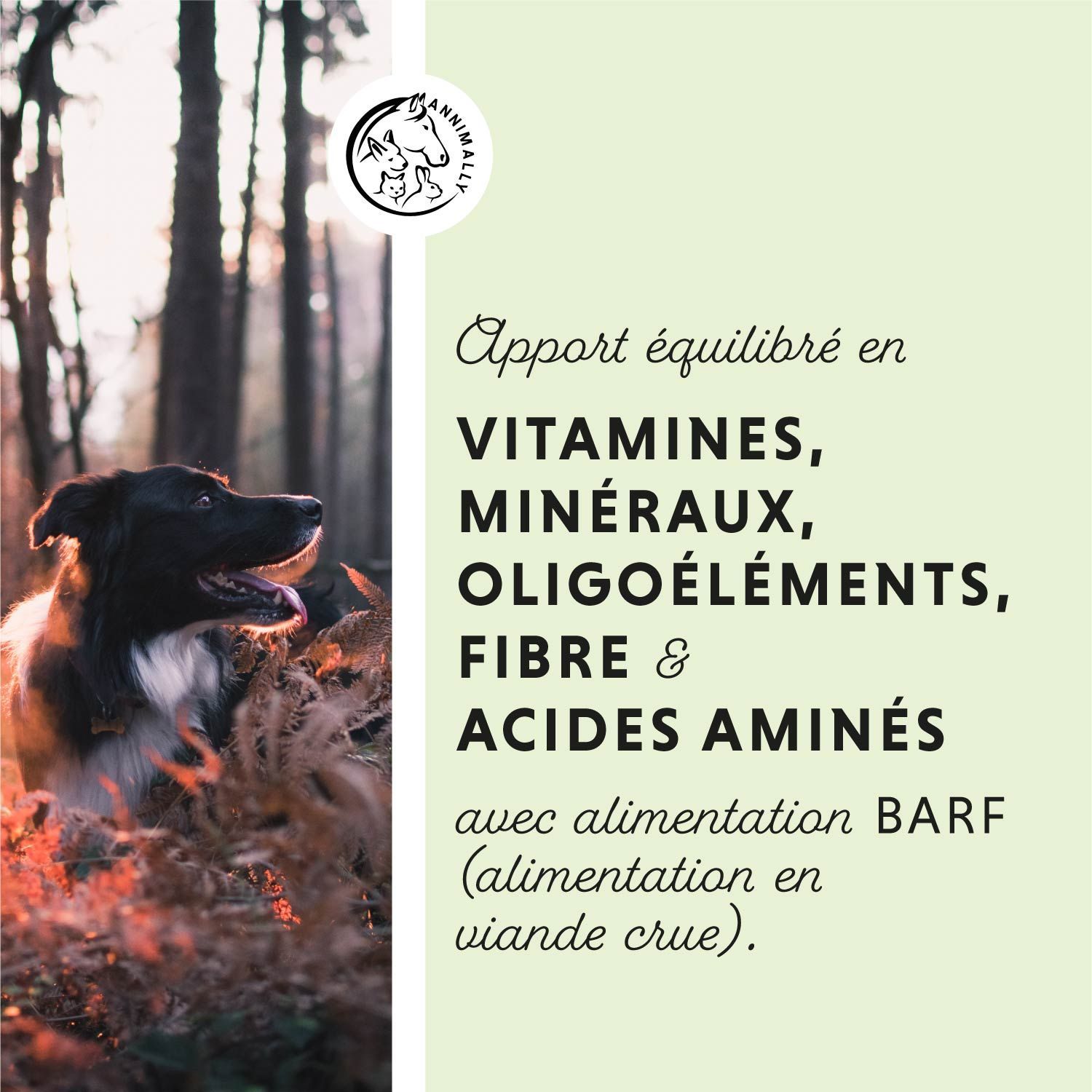 Deux rapports de laboratoire. Texte: Testé en laboratoire en Allemagne. Logo. Empreintes de pattes.