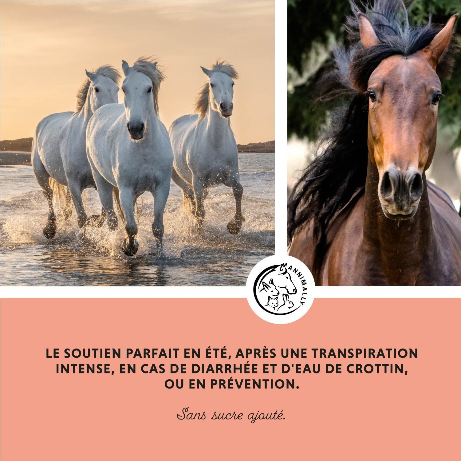 Trois chevaux dans l'eau. Texte : Le soutien parfait en été, après une transpiration intense, en cas de diarrhée et d'eau de crottin, ou en prévention.
