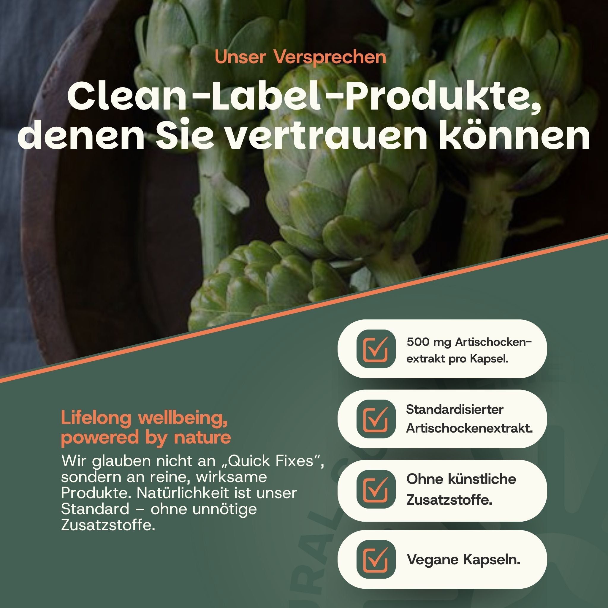 Artisjok extract capsules: 500 mg per capsule, vegan, zonder toevoegingen.