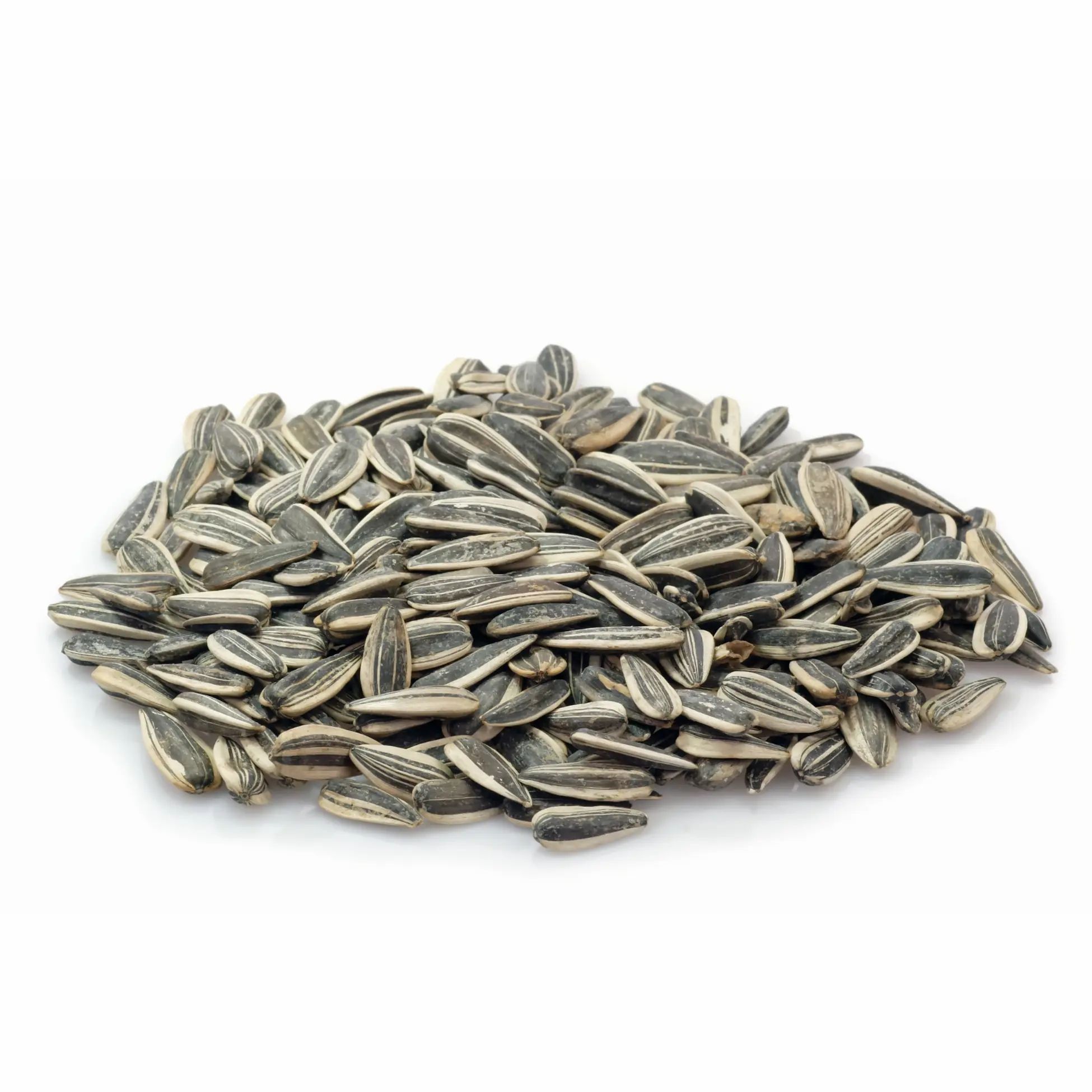 Tas de graines de tournesol salées. Coques rayées noires et blanches. Sur fond blanc.