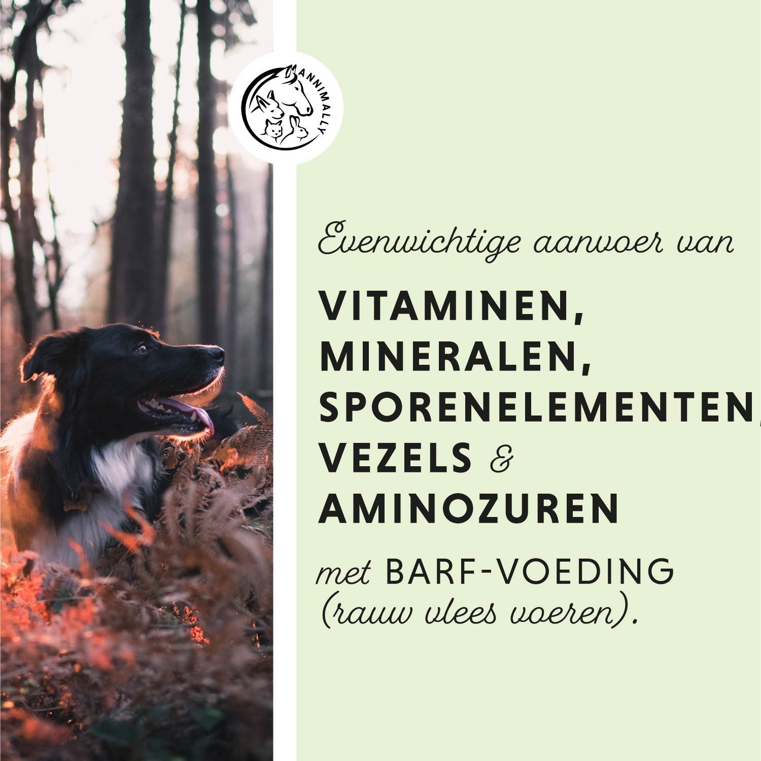 Twee laboratoriumrapporten. Tekst: Laboratorium getest in Duitsland. Logo. Voetafdrukken.