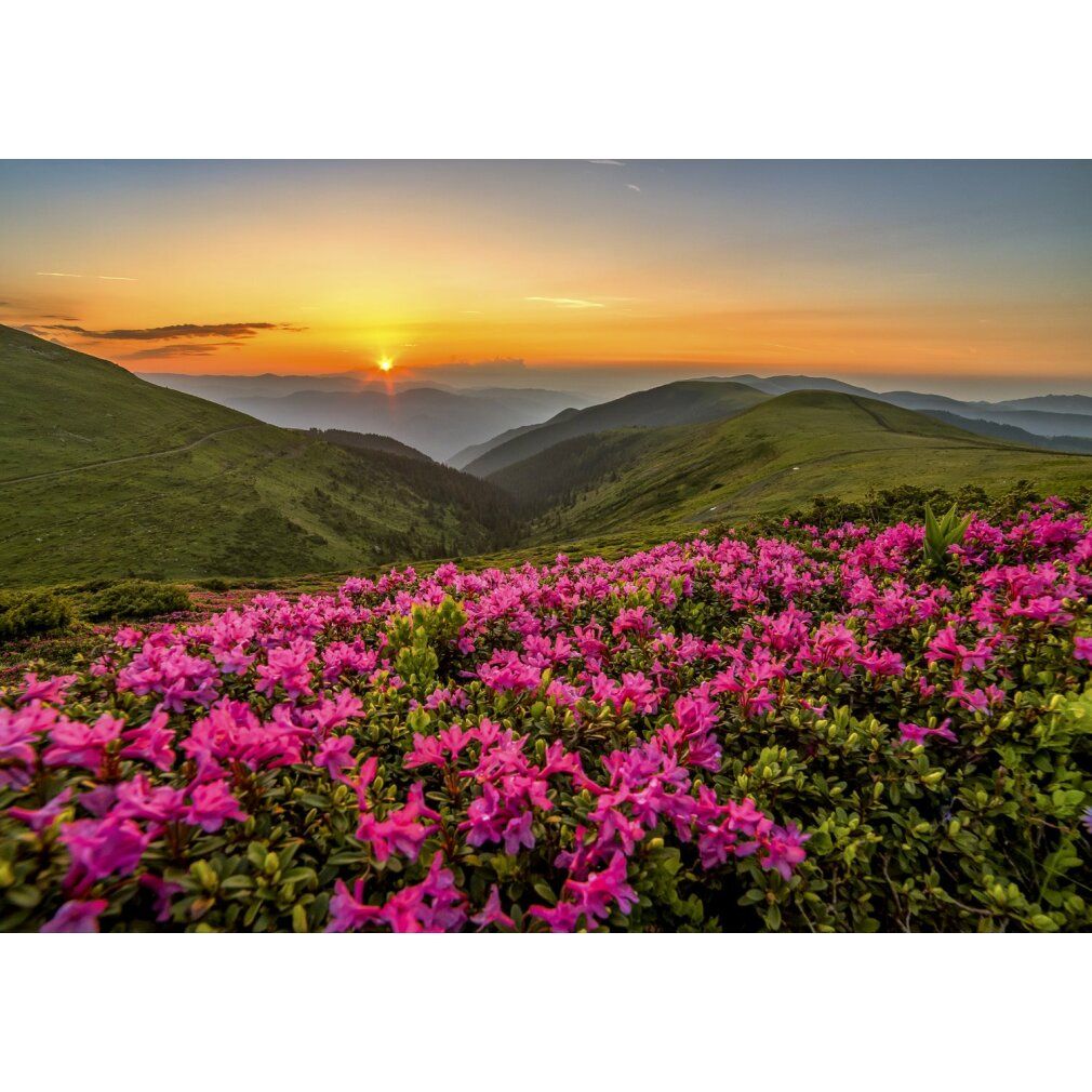 enjoy Twilight Puzzel 1000 stuks