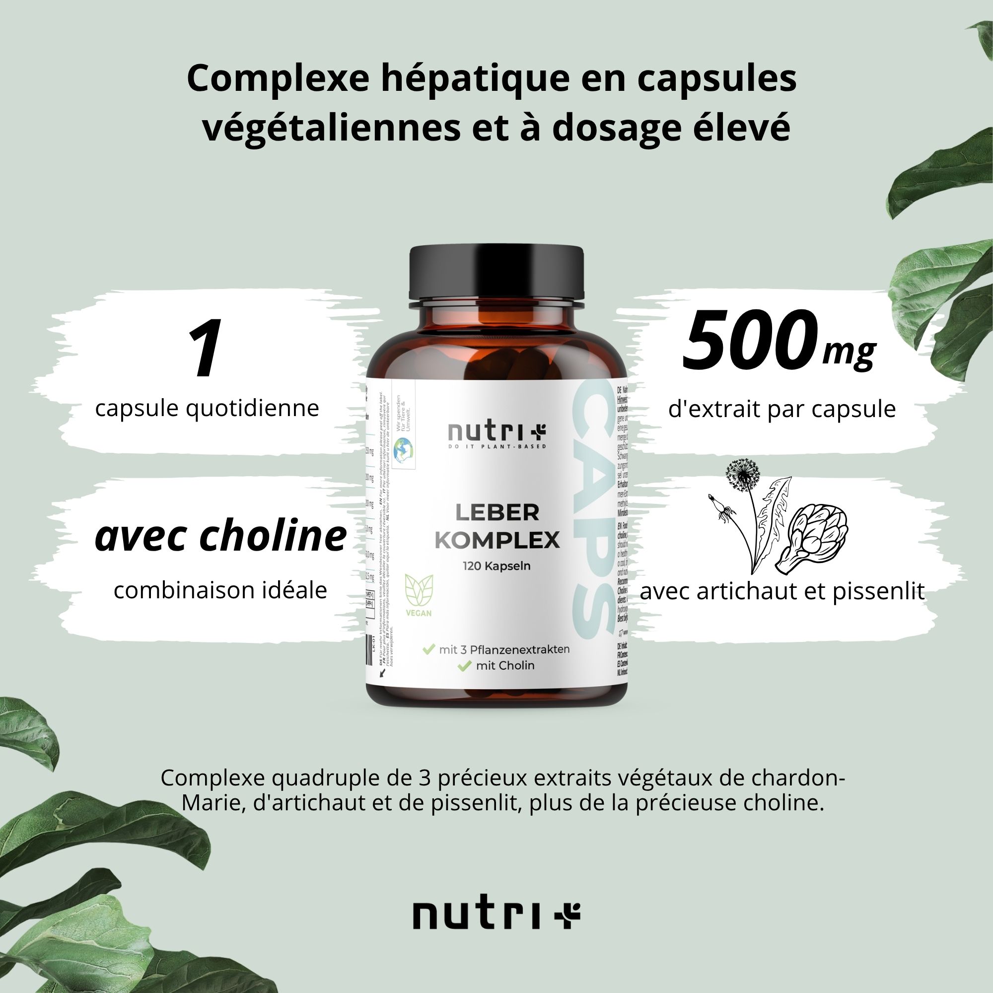 Flacon de produit avec texte : Leber Komplex Kapseln. 1 gélule par jour. 500mg d'extrait par gélule. Avec artichaut et pissenlit.