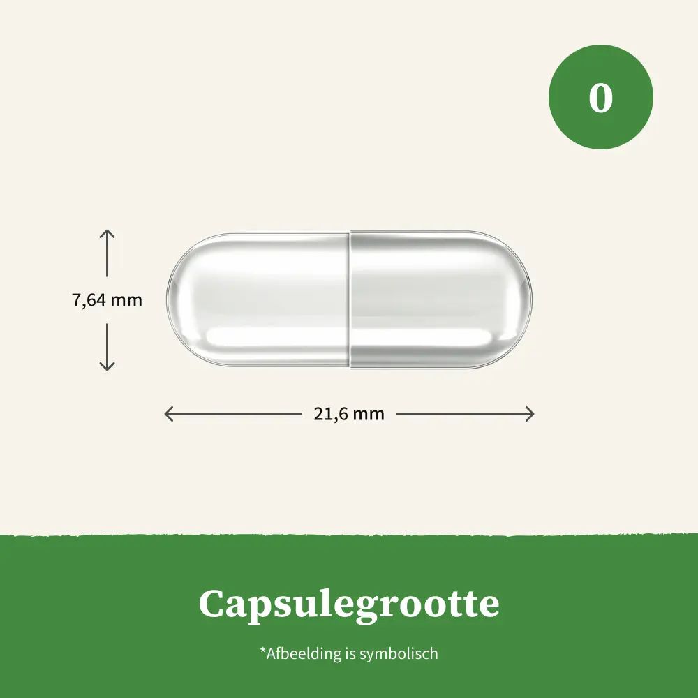 Capsule, transparant, met afmetingen: 21,6 mm lang, 7,64 mm diameter. Groene tekst: Capsulegrootte.