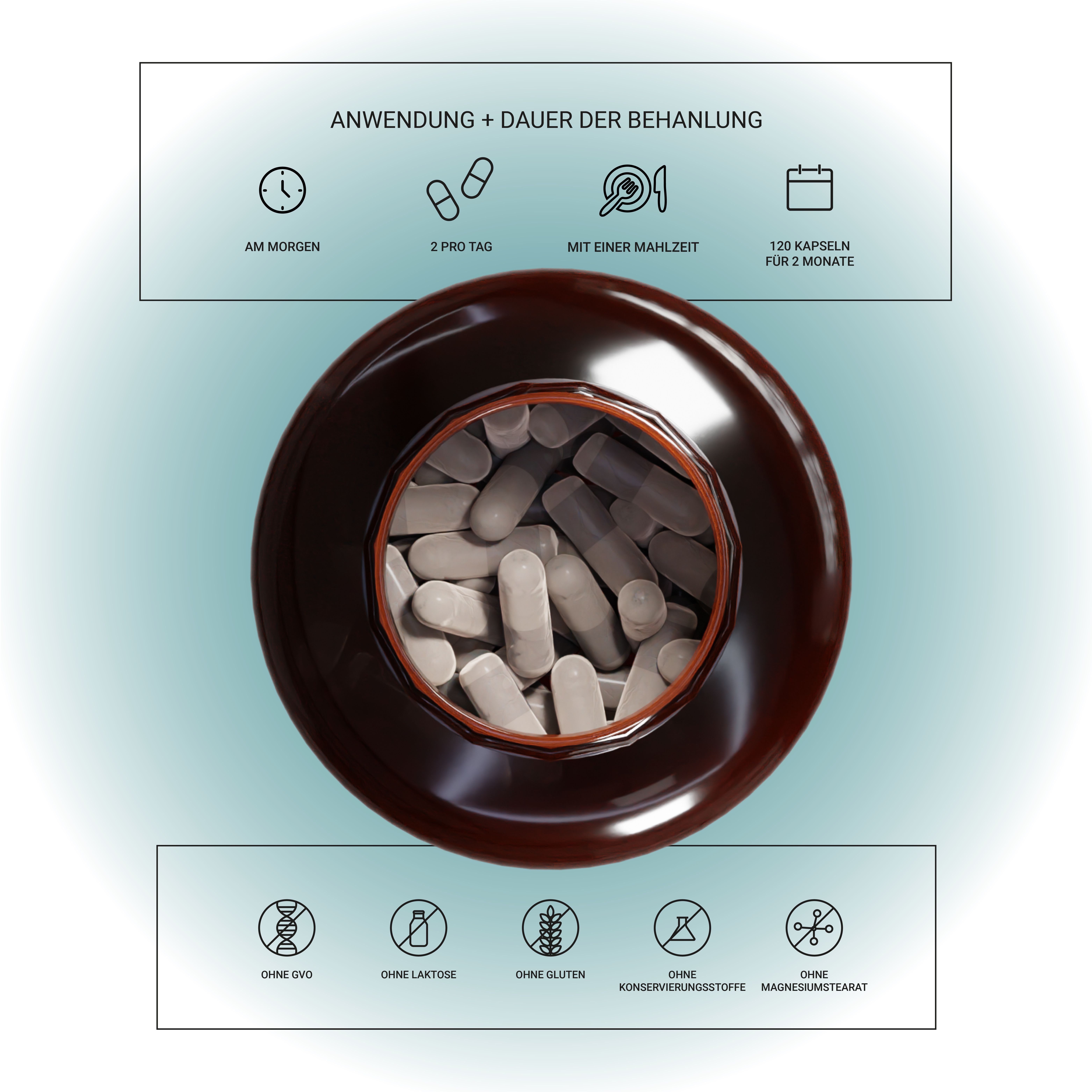 Bovenaanzicht van een bruine fles met capsules. Gebruik: Ochtend, 2 per dag, bij een maaltijd. 120 capsules voor 2 maanden. Zonder toevoegingen.