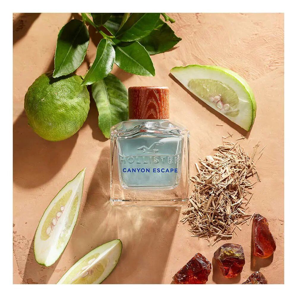 Flacon Hollister Canyon Escape, bouchon bois, entouré de feuilles et fruits verts.