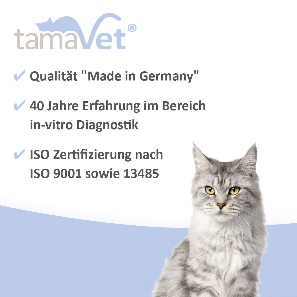 tamaVet Giardien Sneltest voor Honden en Katten