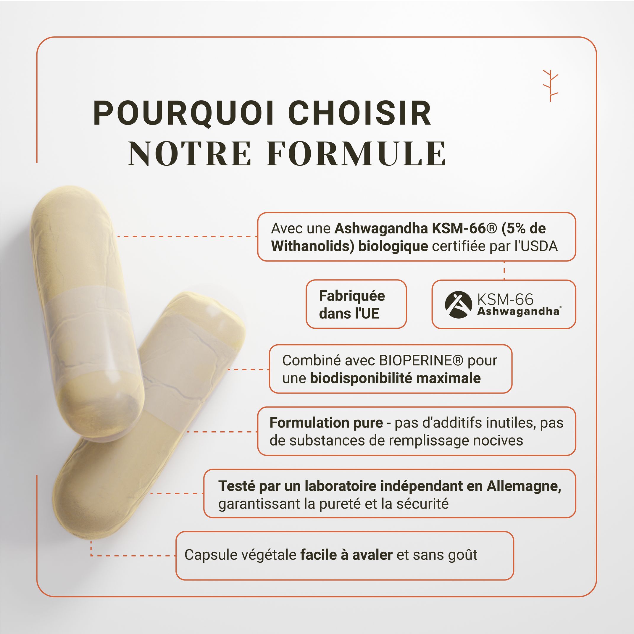 Twee capsules, een Ashwagandha KSM-66 capsule, biologisch gecertificeerd, met Bioperine, puur, zonder toevoegingen.