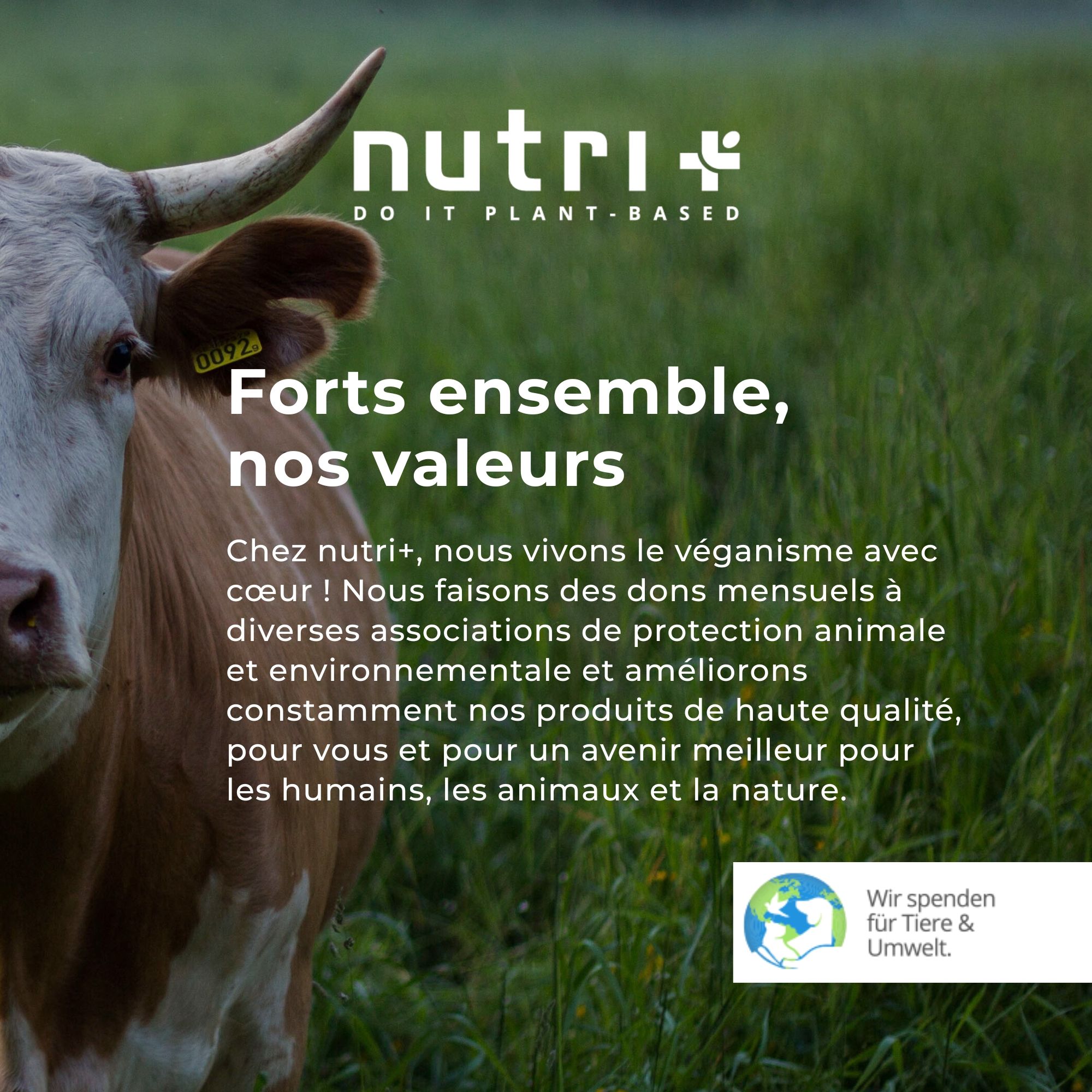 Vache dans un pré. Texte : Forts ensemble, nos valeurs. Informations sur les valeurs végétaliennes et les dons pour les animaux et l'environnement.