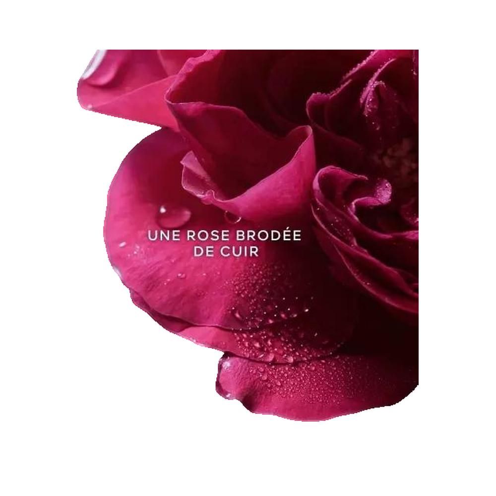 Close-up van een rode roos met waterdruppels. Tekst: UNE ROSE BRODÉE DE CUIR.
