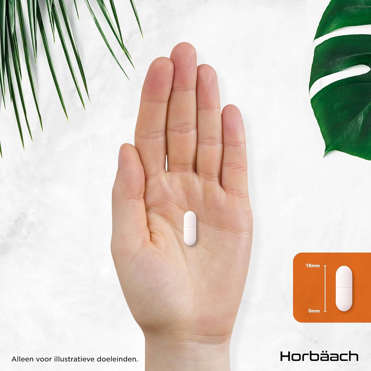 Een witte capsule ligt in een handpalm. Daarnaast een weergave van de capsule met afmetingen 18mm x 6mm.