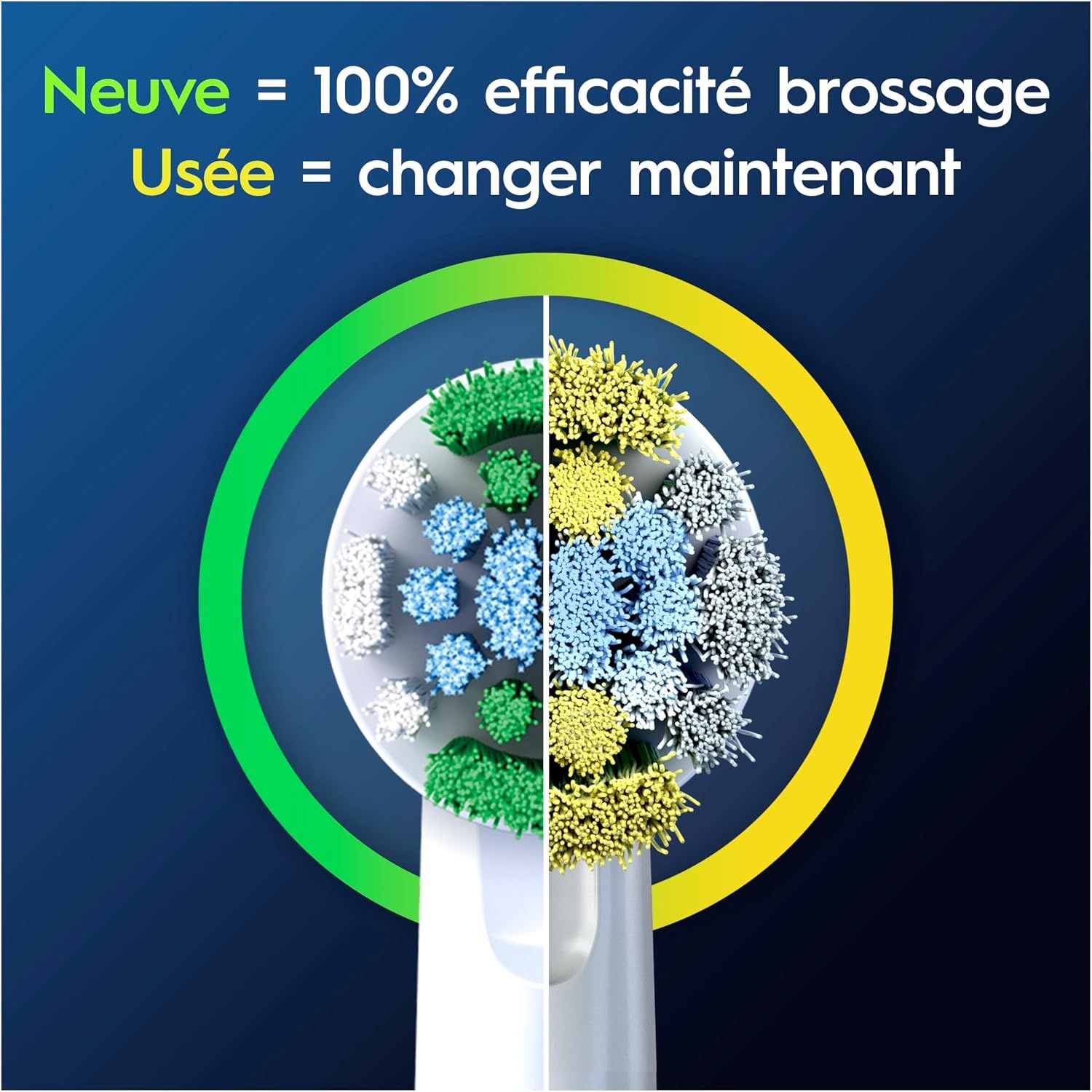 Comparaison d'une tête de brosse à dents neuve et usée avec des poils colorés.