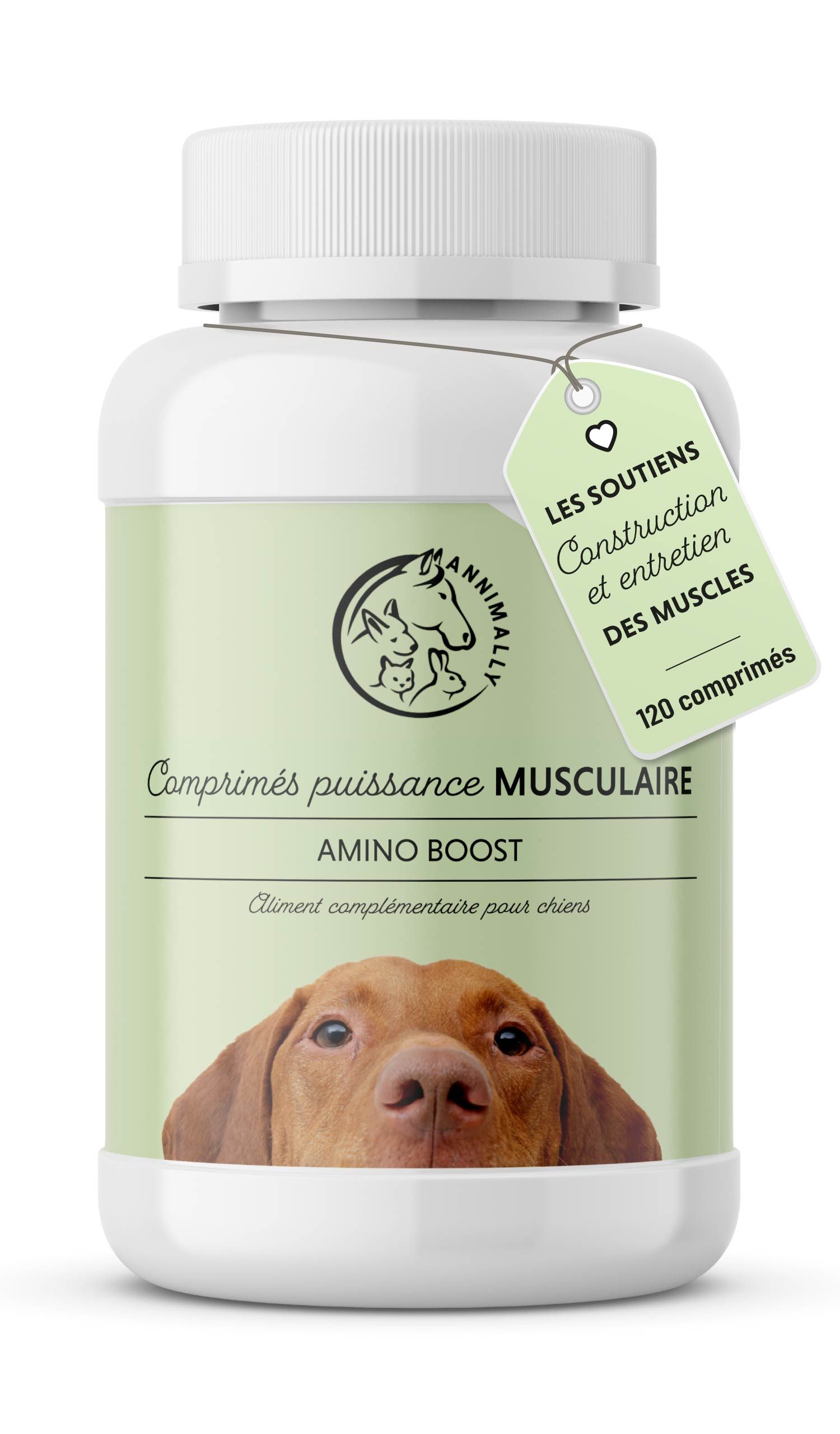 Flacon de comprimés. Inscription : Comprimés puissance musculaire, Amino Boost. 120 comprimés. Chien.