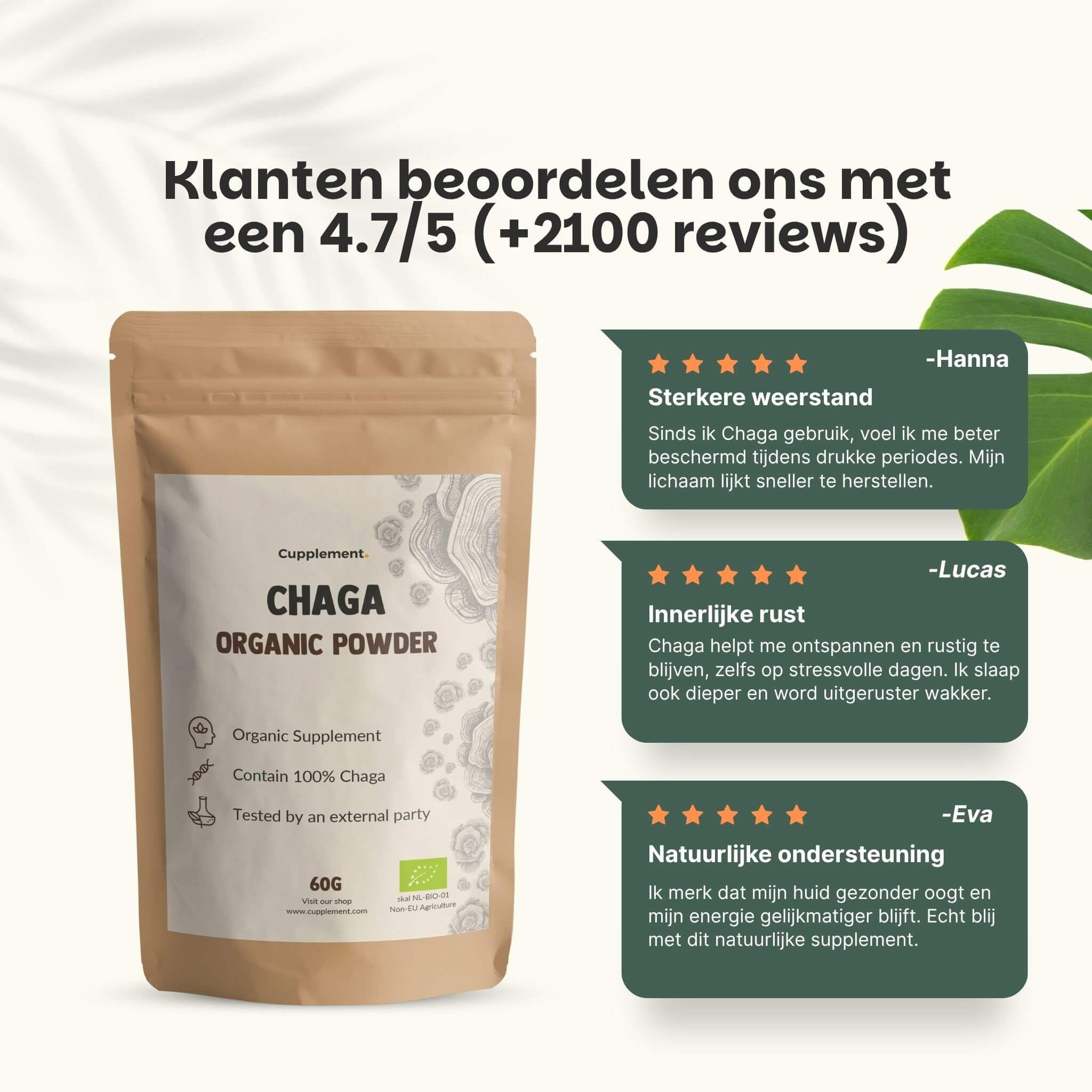Zakje Chaga Organic Powder. Klantenbeoordelingen: 4,7/5. Citaten van klanten. Tekst: 60g. Met EU-bio logo.