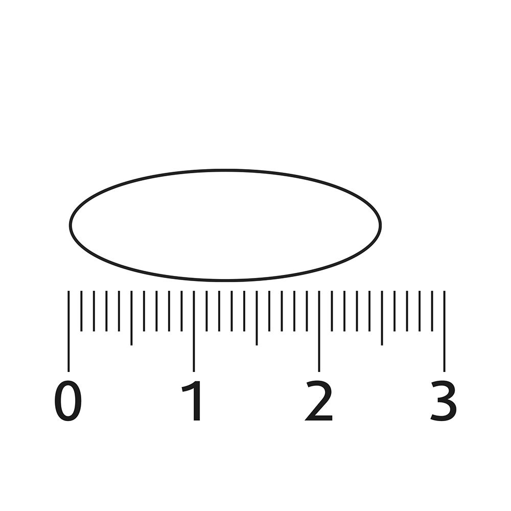 Een enkele ovale capsule naast een meetschaal. De capsule is ongeveer 2 cm lang.
