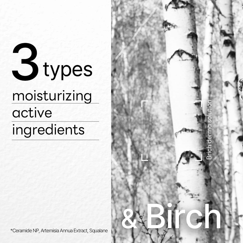 Texte : "3 types", "moisturizing active ingredients" et "& Birch". Fond : troncs de bouleaux.
