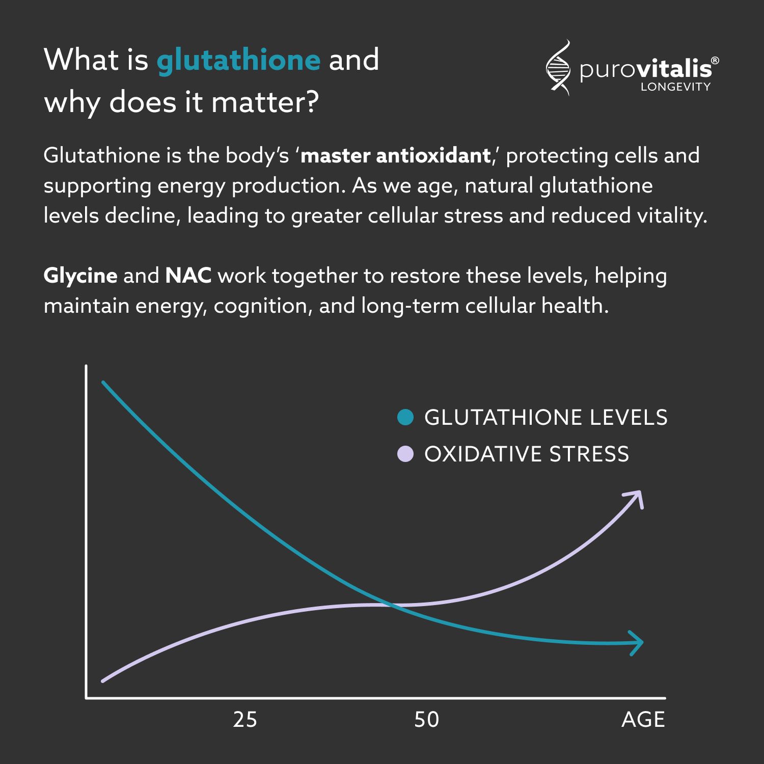 Grafiek: glutathionniveaus en oxidatieve stress met de leeftijd. Tekst: Wat is glutathion en waarom is het belangrijk?