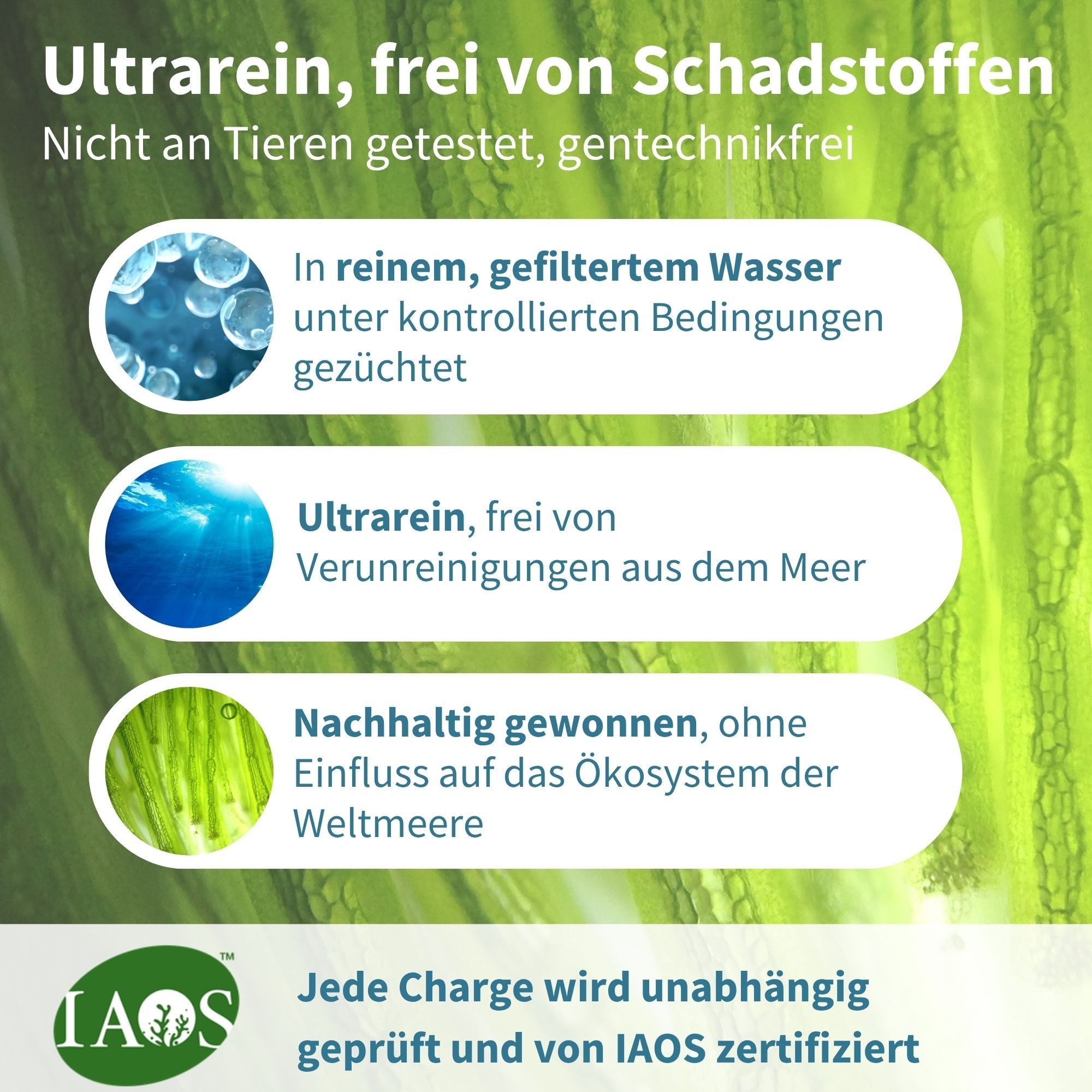 Huile d'algues ultra-pure, sans polluants, issue de sources durables et certifiée IAOS.