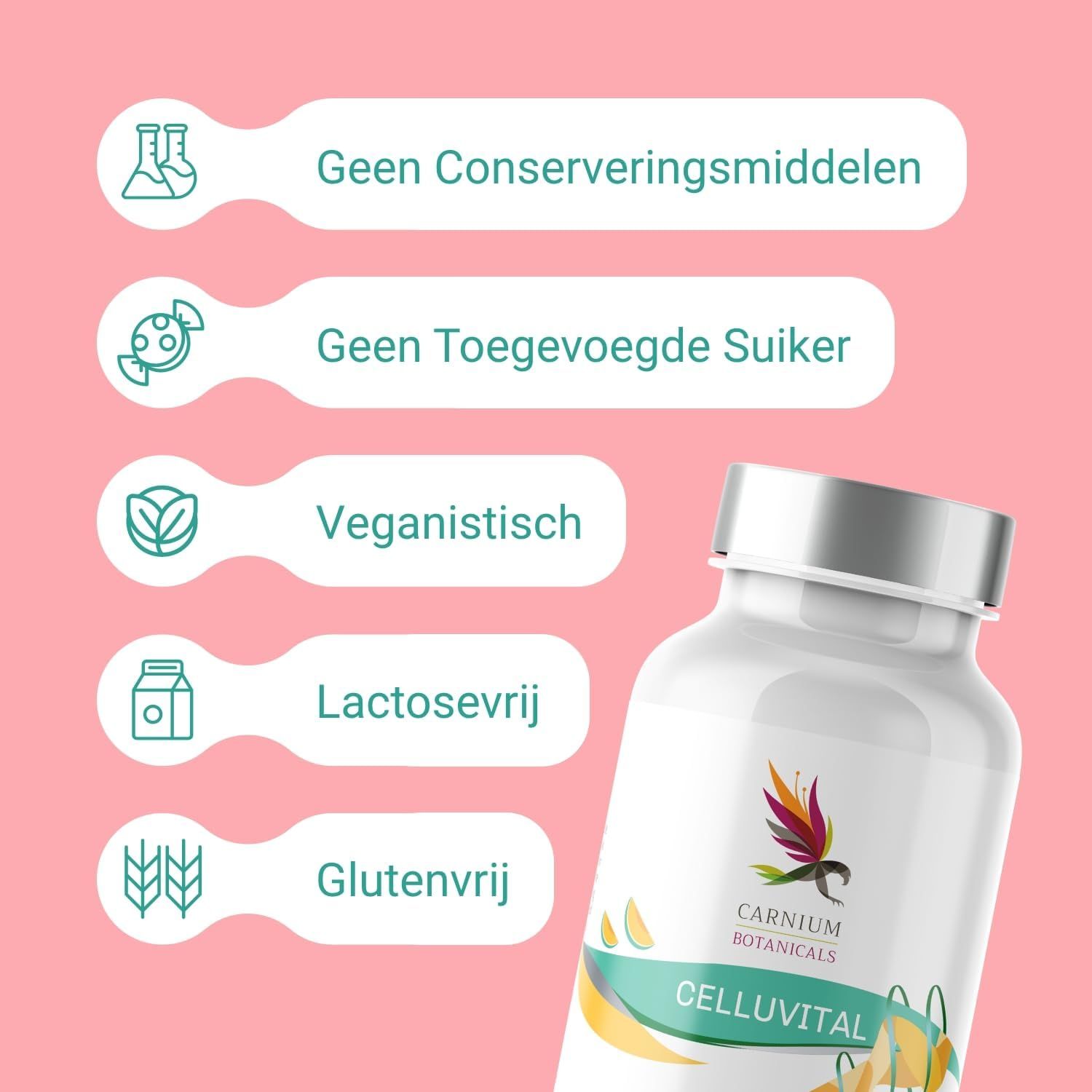 Witte pillenfles met zilveren dop. Links iconen met teksten: geen conserveermiddelen, geen toegevoegde suikers, veganistisch, lactosevrij, glutenvrij.