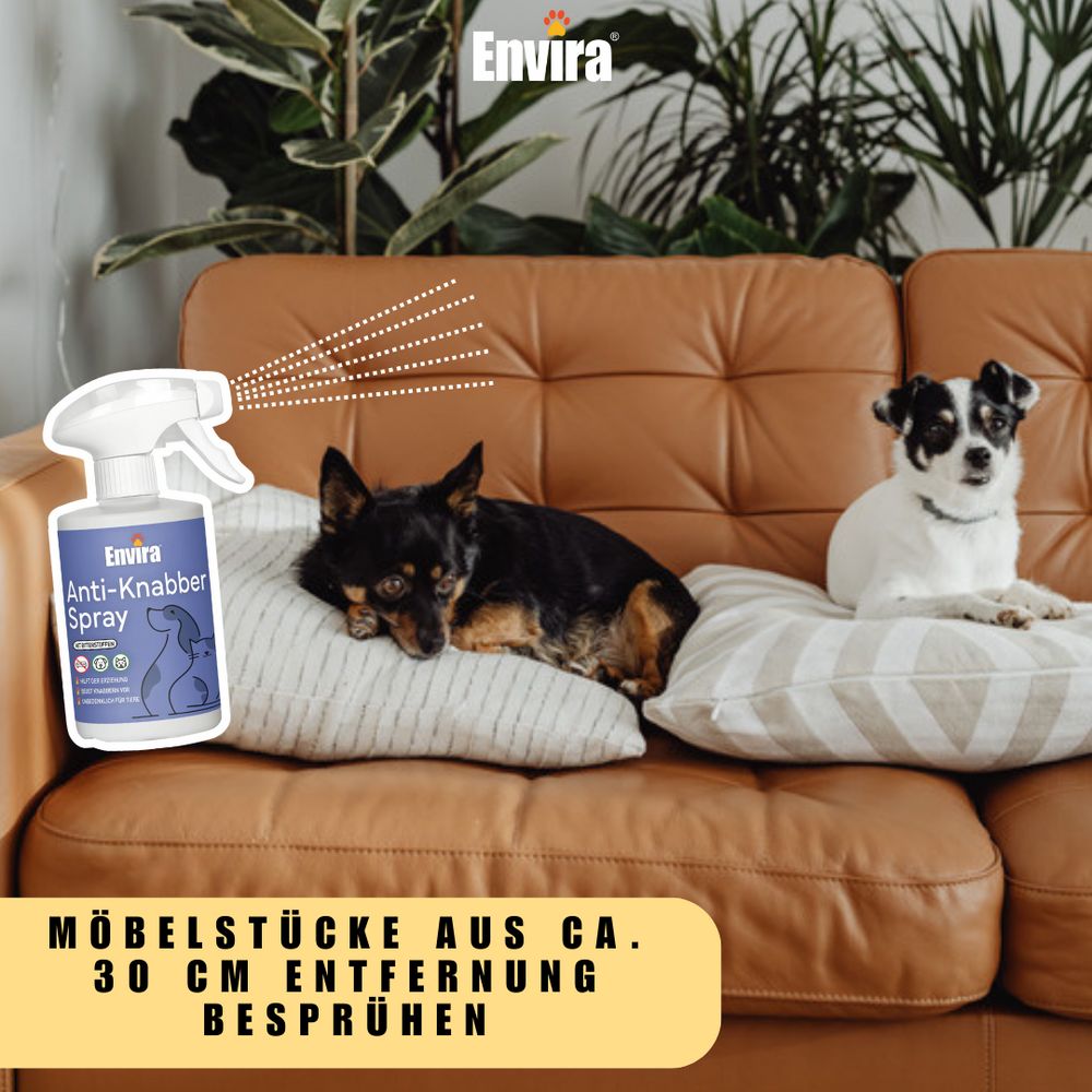 Deux chiens sur un canapé. Flacon "Envira Anti-Knabber Spray" dans l'image. Texte : Vaporiser les meubles à environ 30 cm.