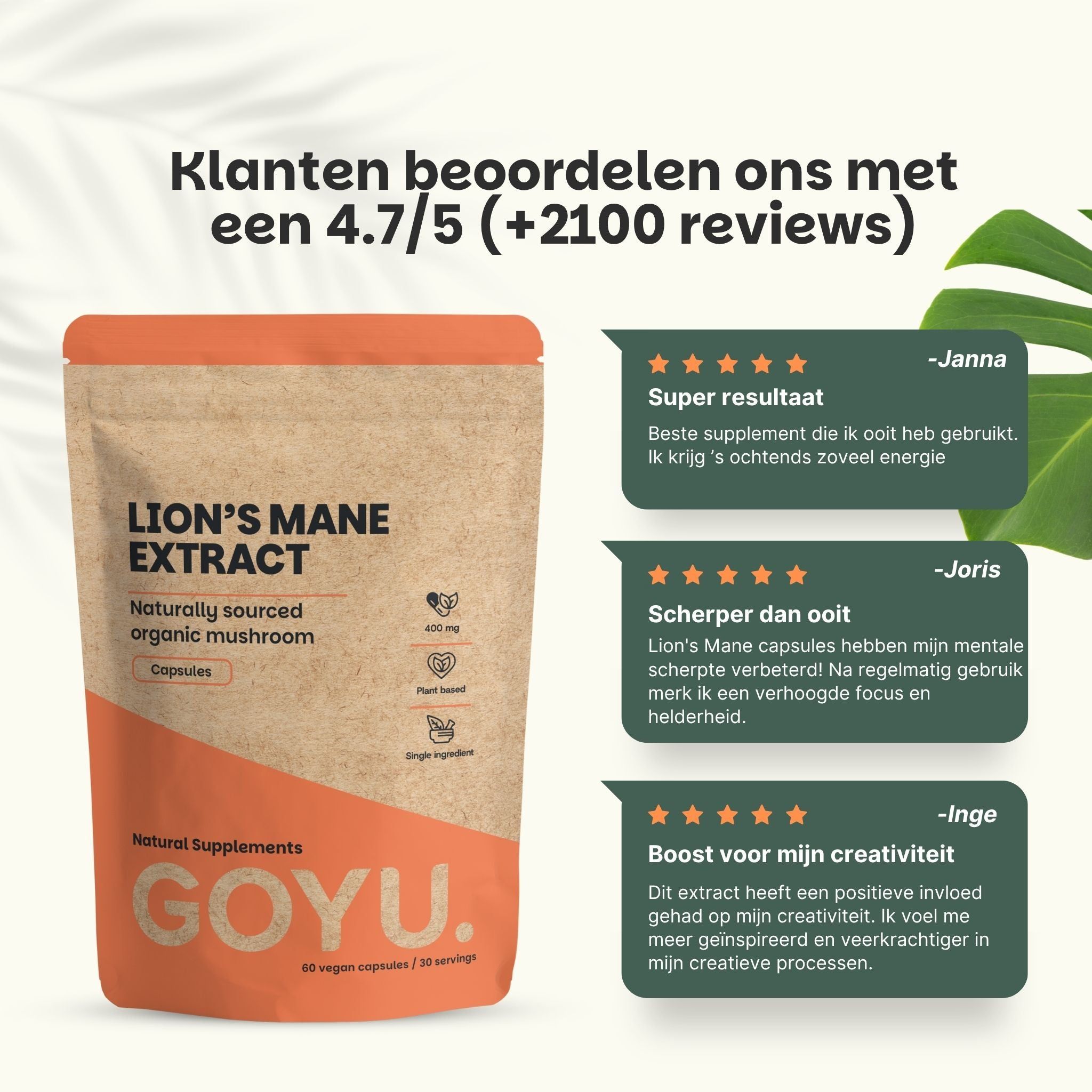 Twee zakjes Lion's Mane extract capsules, 60 capsules per zakje, 20:1 extract.