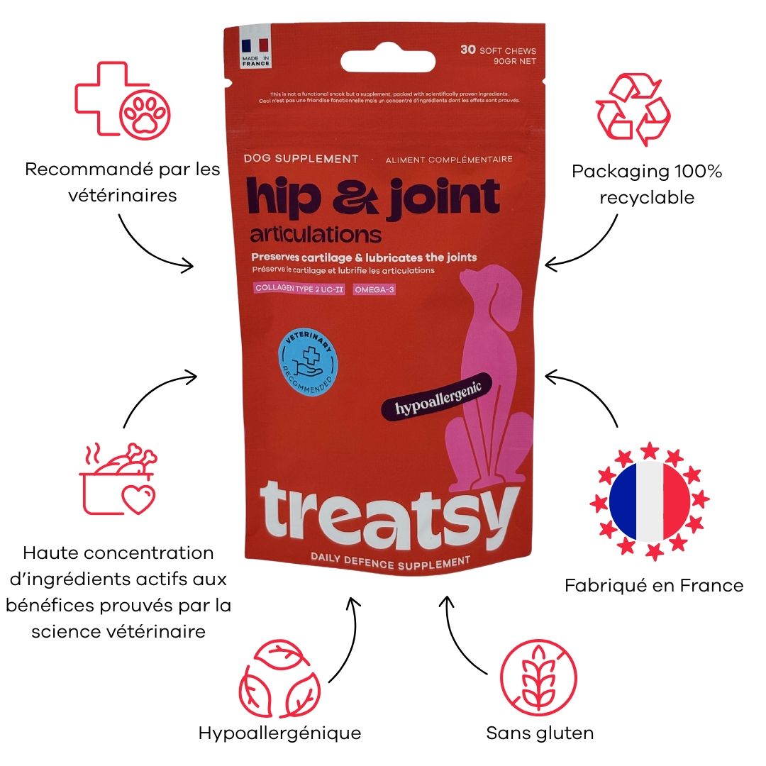 Sachet rouge pour chiens. Texte : Hip & Joint, Articulations. Logo : Recommandé par les vétérinaires. Fabriqué en France.