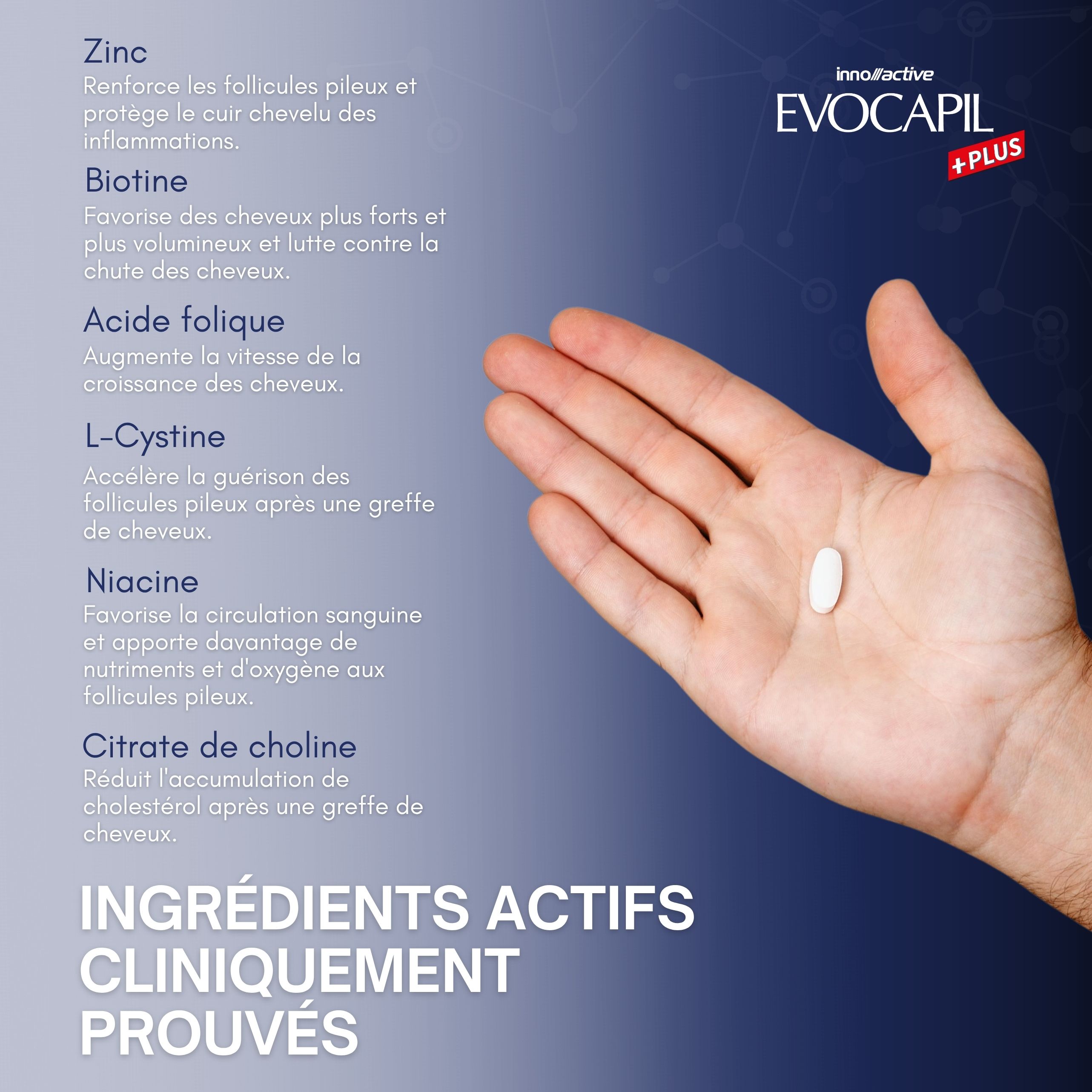 Main avec comprimé. Inscription : Ingrédients actifs cliniquement prouvés. Ingrédients : Zinc, Biotine, Acide folique, L-Cystine, Niacine, Citrate de choline.