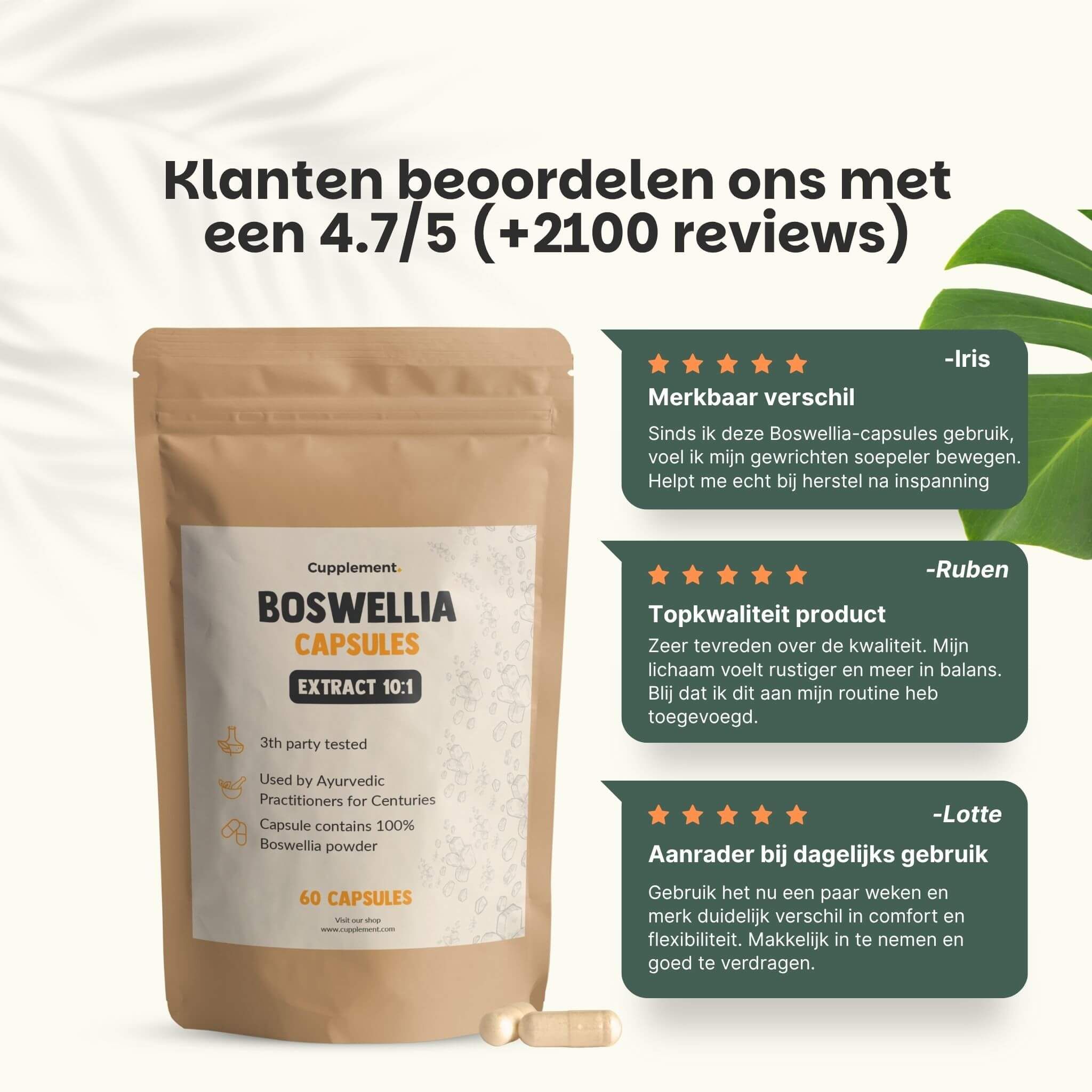 Cupplement - Boswellia Extract  500 mg