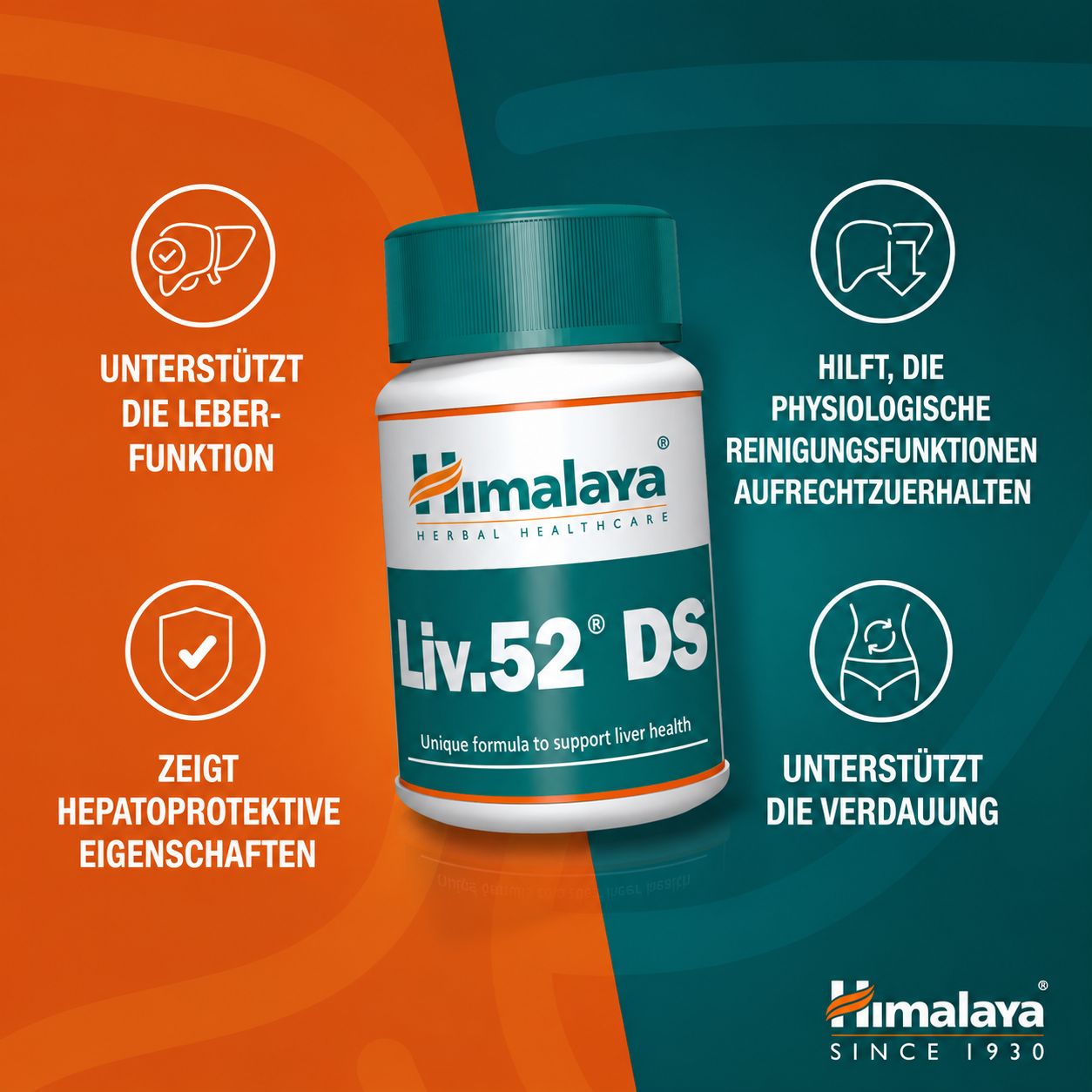 Bouteille de comprimés Himalaya Liv.52 DS entourée d'icônes représentant la fonction hépatique et la digestion.
