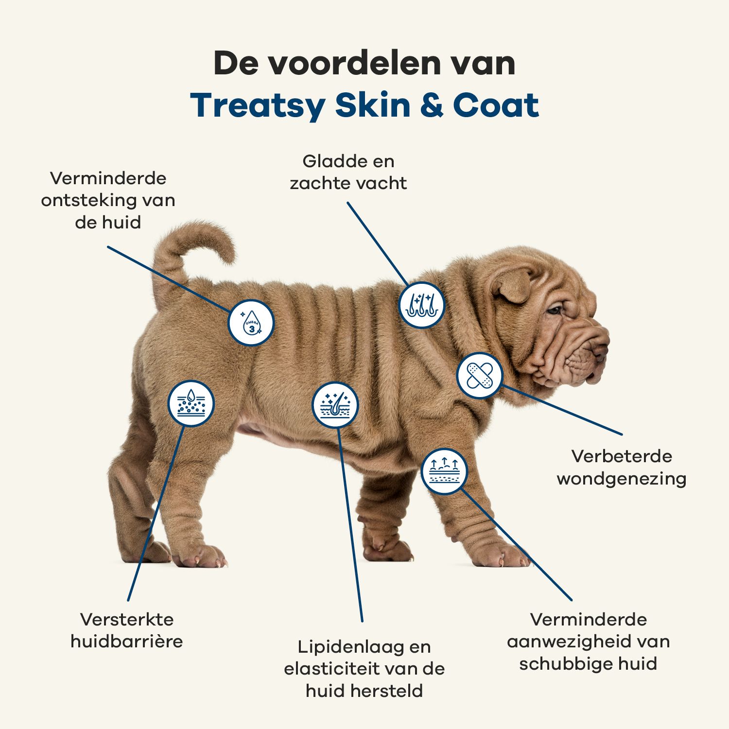Treatsy Voedingssupplement – Huid & Vacht voor honden